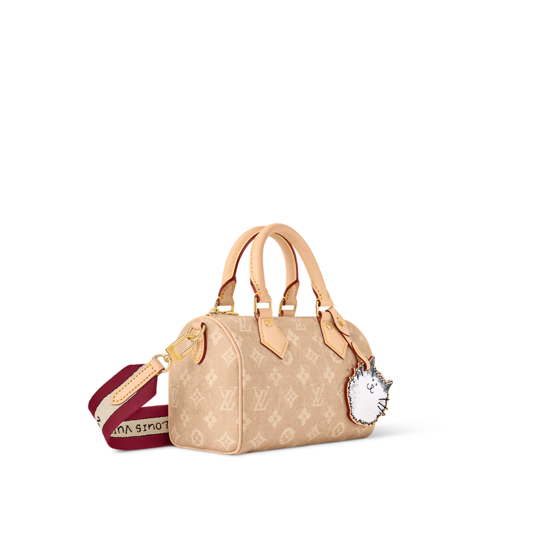 Louis Vuitton SPEEDY BANDOULIÈRE 20 handbag