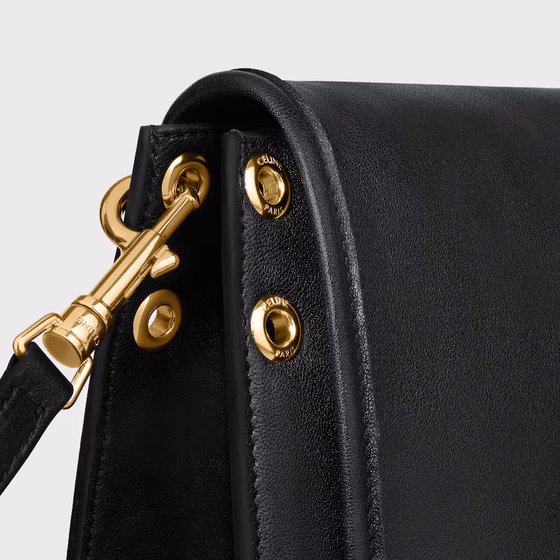 Celine bags SOFT TRIOMPHE BESACE handbags