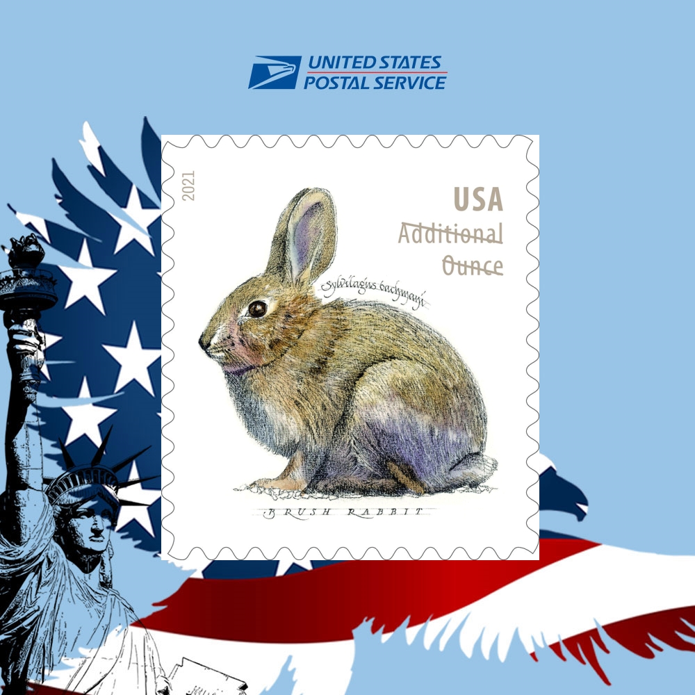 2021 Brush Rabbit - US-Stamp