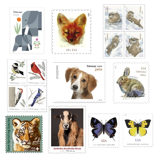 Animals Blind Box Stamps 500PCS - US-Stamps