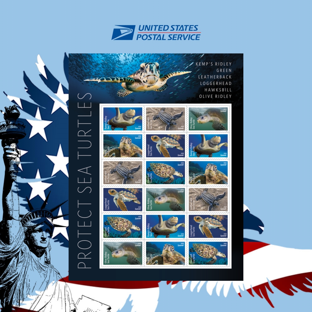 2024 Protect Sea Turtles - US-Stamps