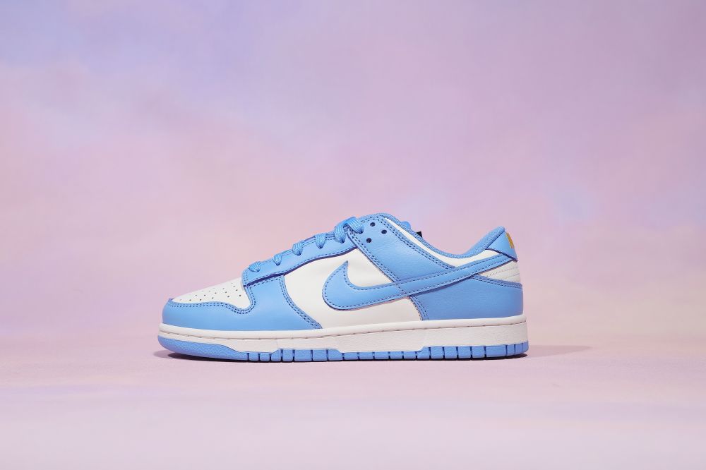 DUNK SB LOW COAST