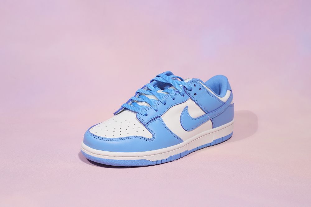 DUNK SB LOW COAST