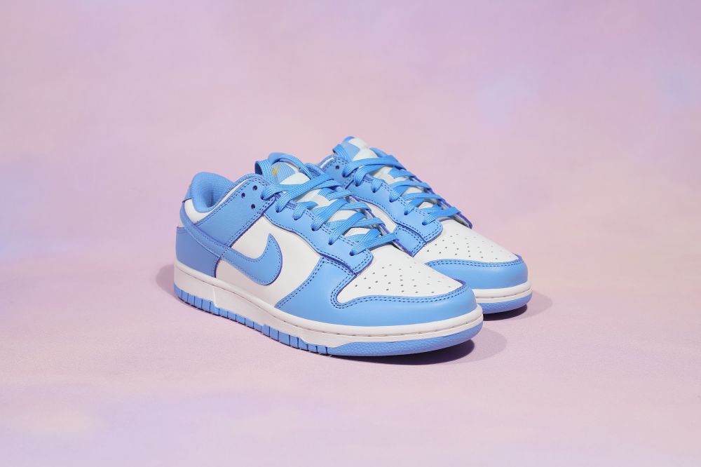 DUNK SB LOW COAST