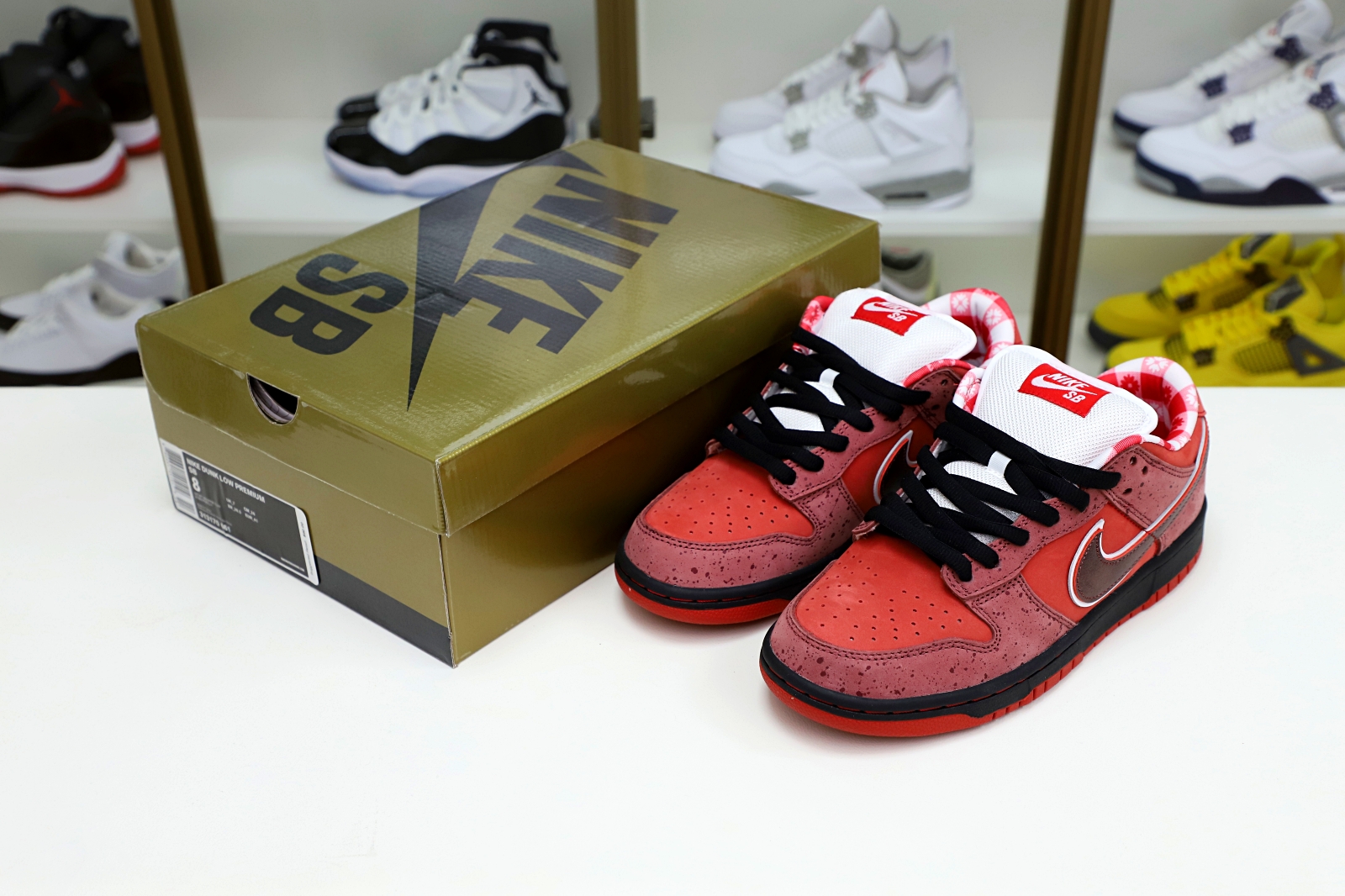 Concepts x Nike Dunk SB Low Red Lobster