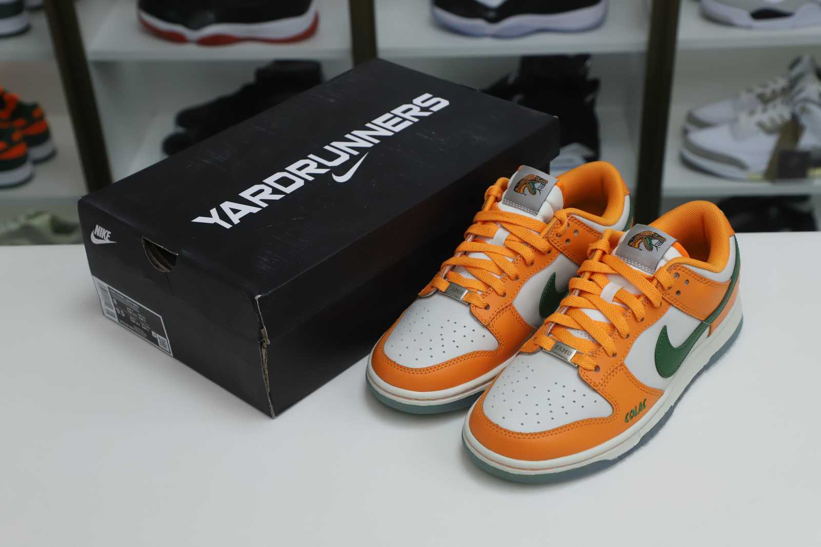 Nike Dunk Low Florida A&M