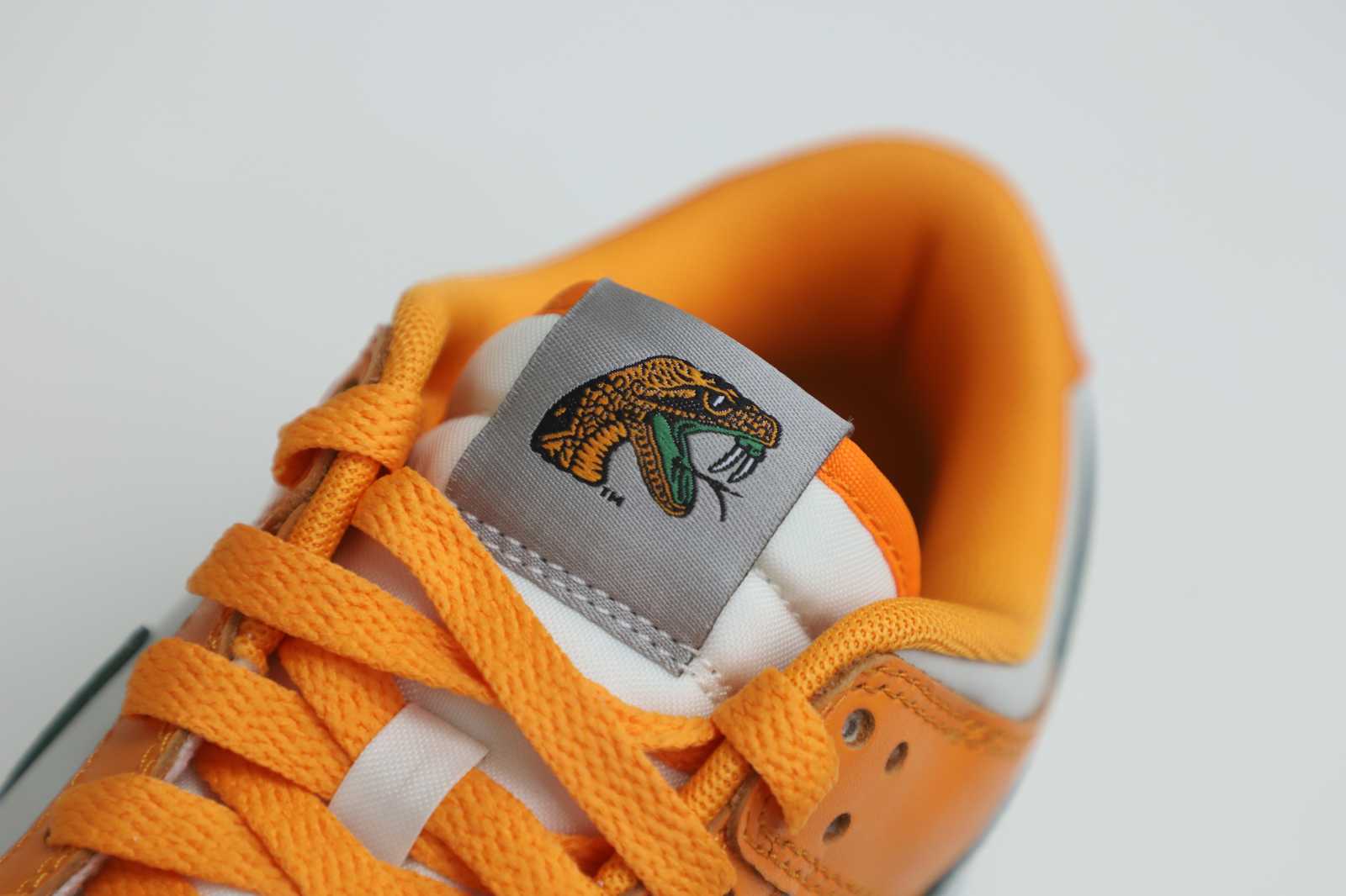 Nike Dunk Low Florida A&M