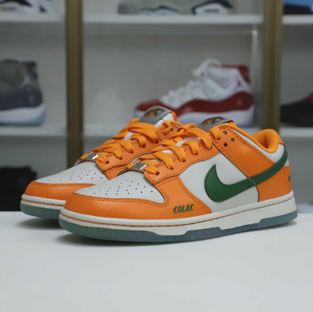 Nike Dunk Low Florida A&M