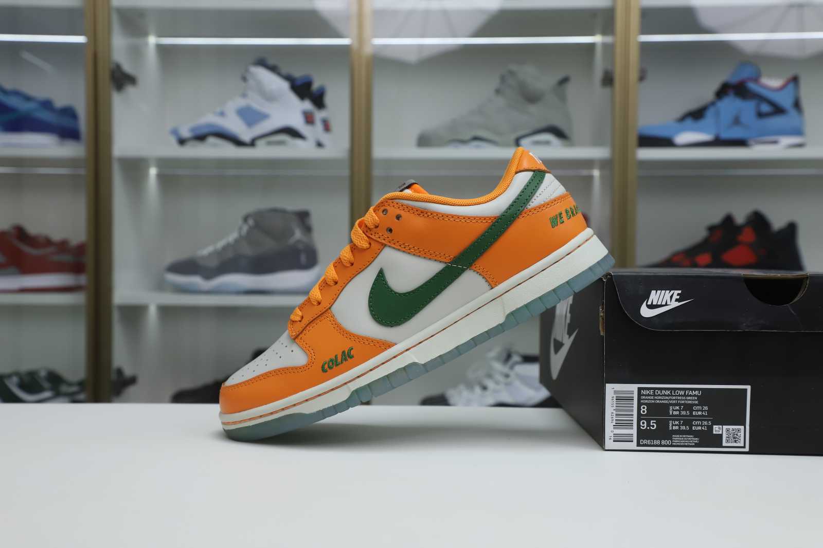 Nike Dunk Low Florida A&M