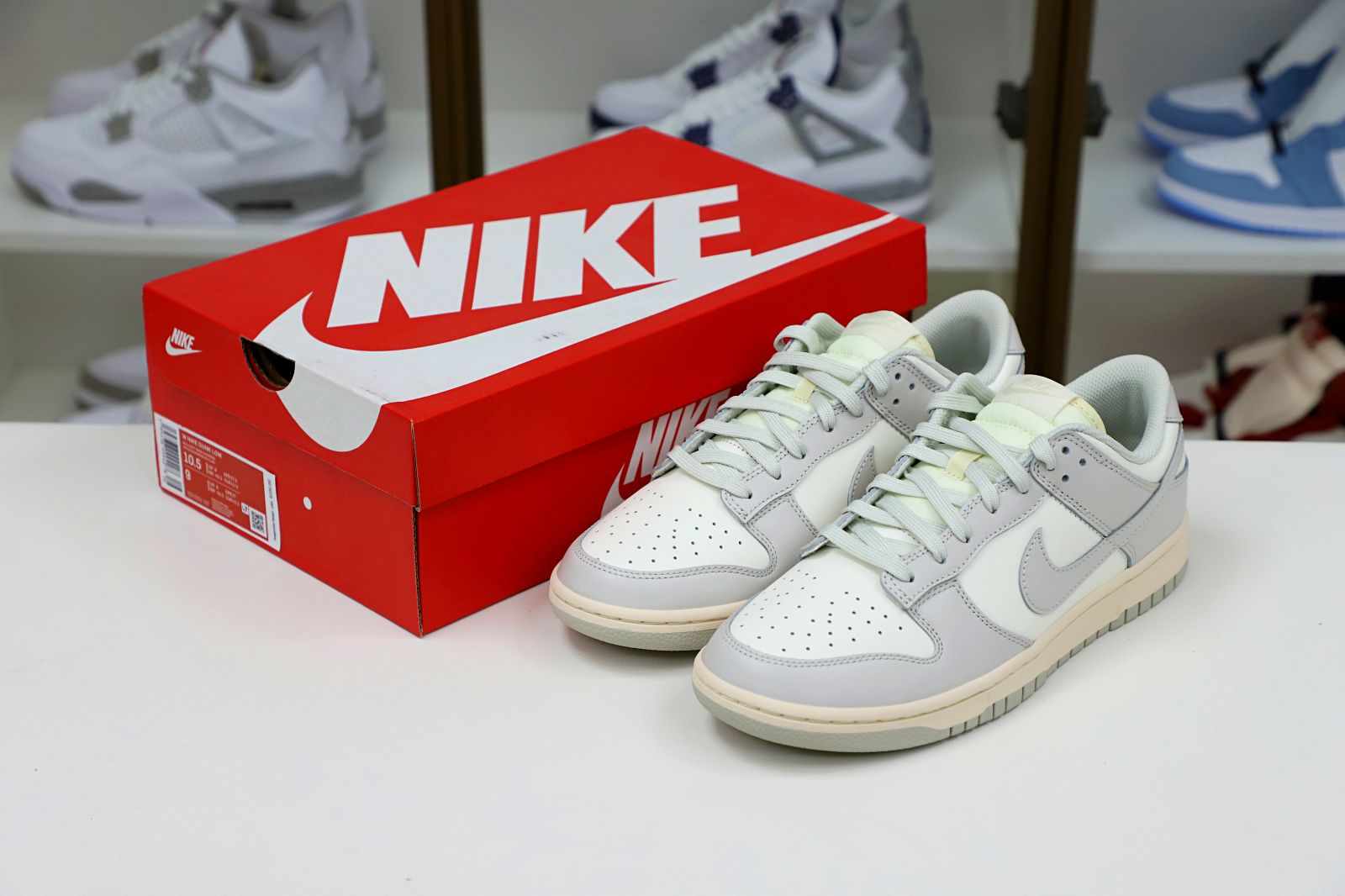 Nike Dunk Lowlight bone