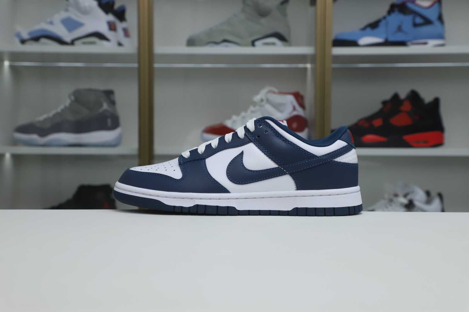 Nike Dunk Low Retro "Valerian Blue"