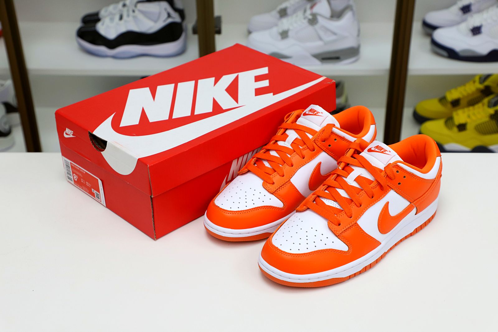 NIKE DUNK LOW RETRO SP 