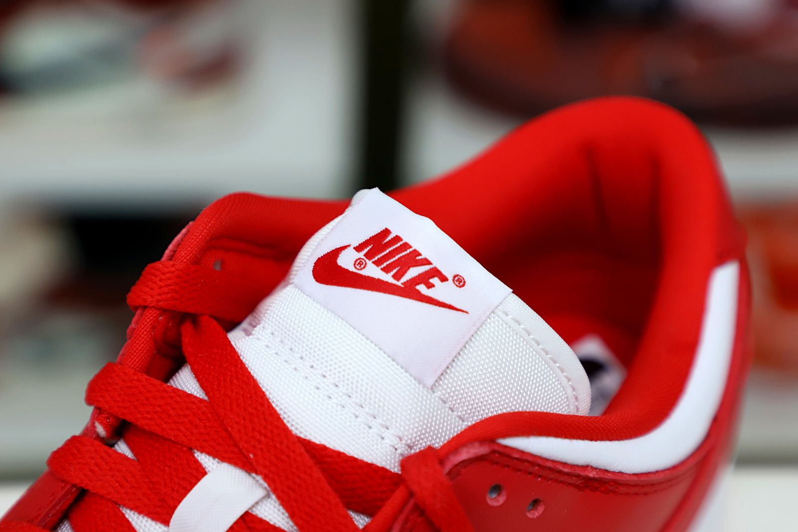 DUNK LOW SP RED