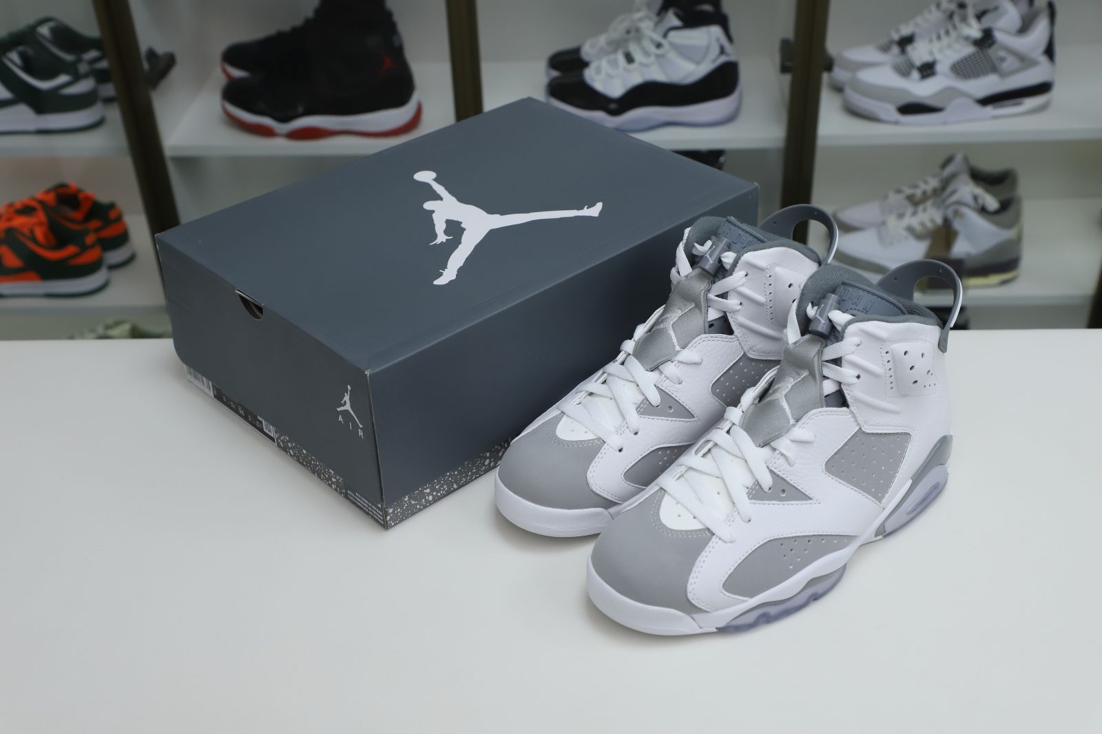 AIR JORDAN 6 COOL GREY