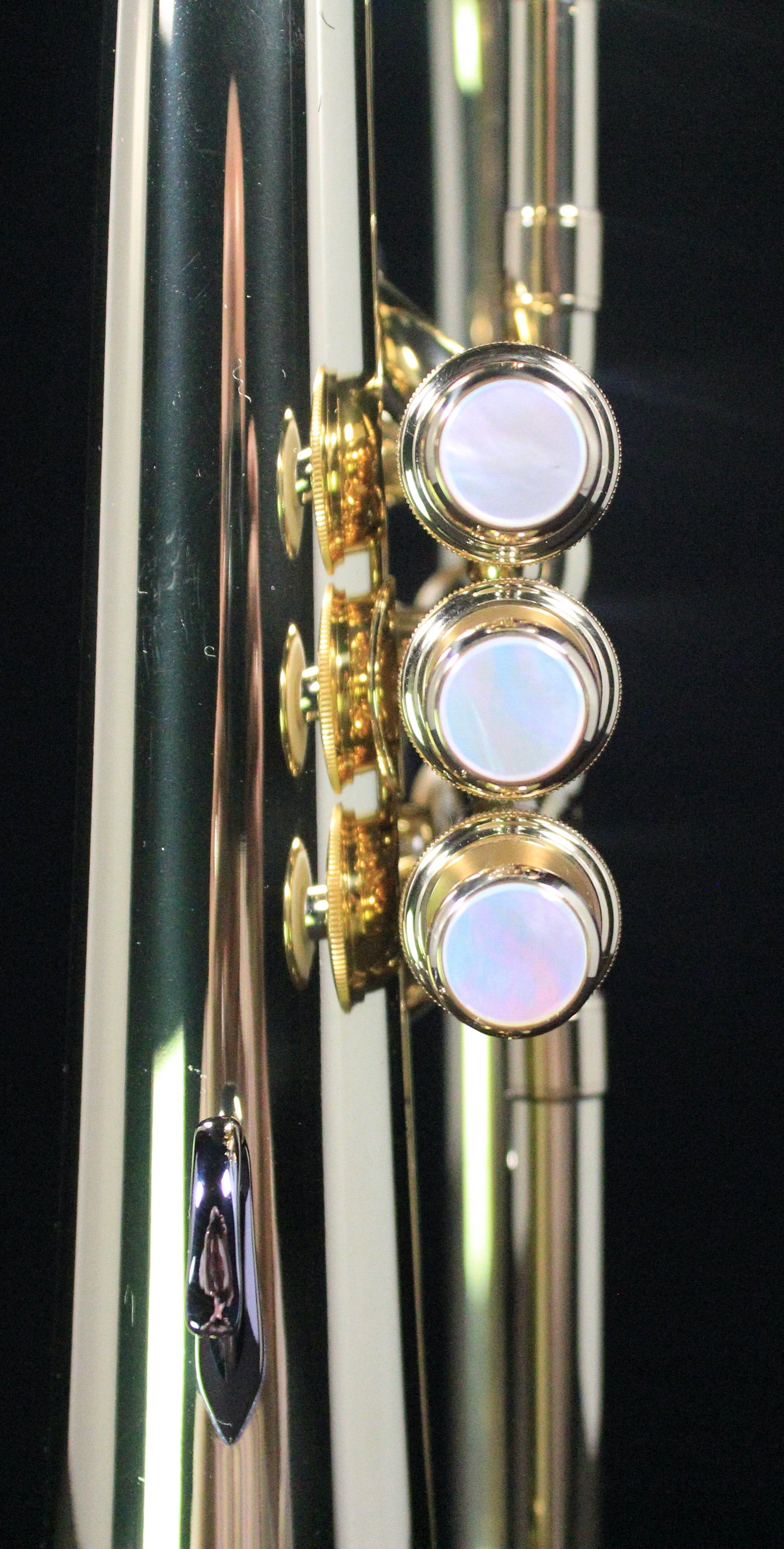 Yamaha YFH8310Z Custom Z Professional Flugelhorn (Clear Lacquer)