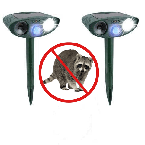 Ultrasonic Raccoon Repeller -natural Raccoon repellent PACK of 2 ...