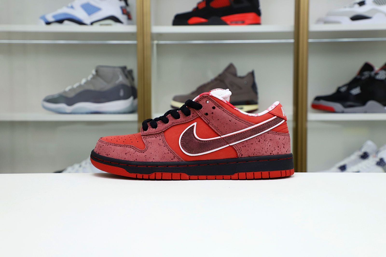 Concepts x Nike Dunk SB Low Red Lobster