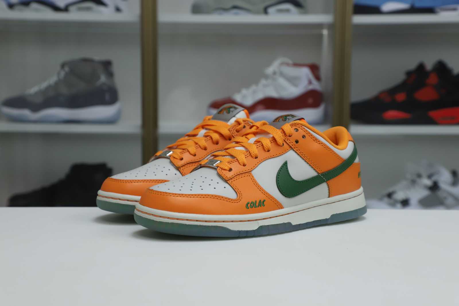 Nike Dunk Low Florida A&M x