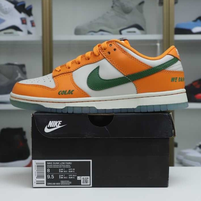 Nike Dunk Low Florida A&M x