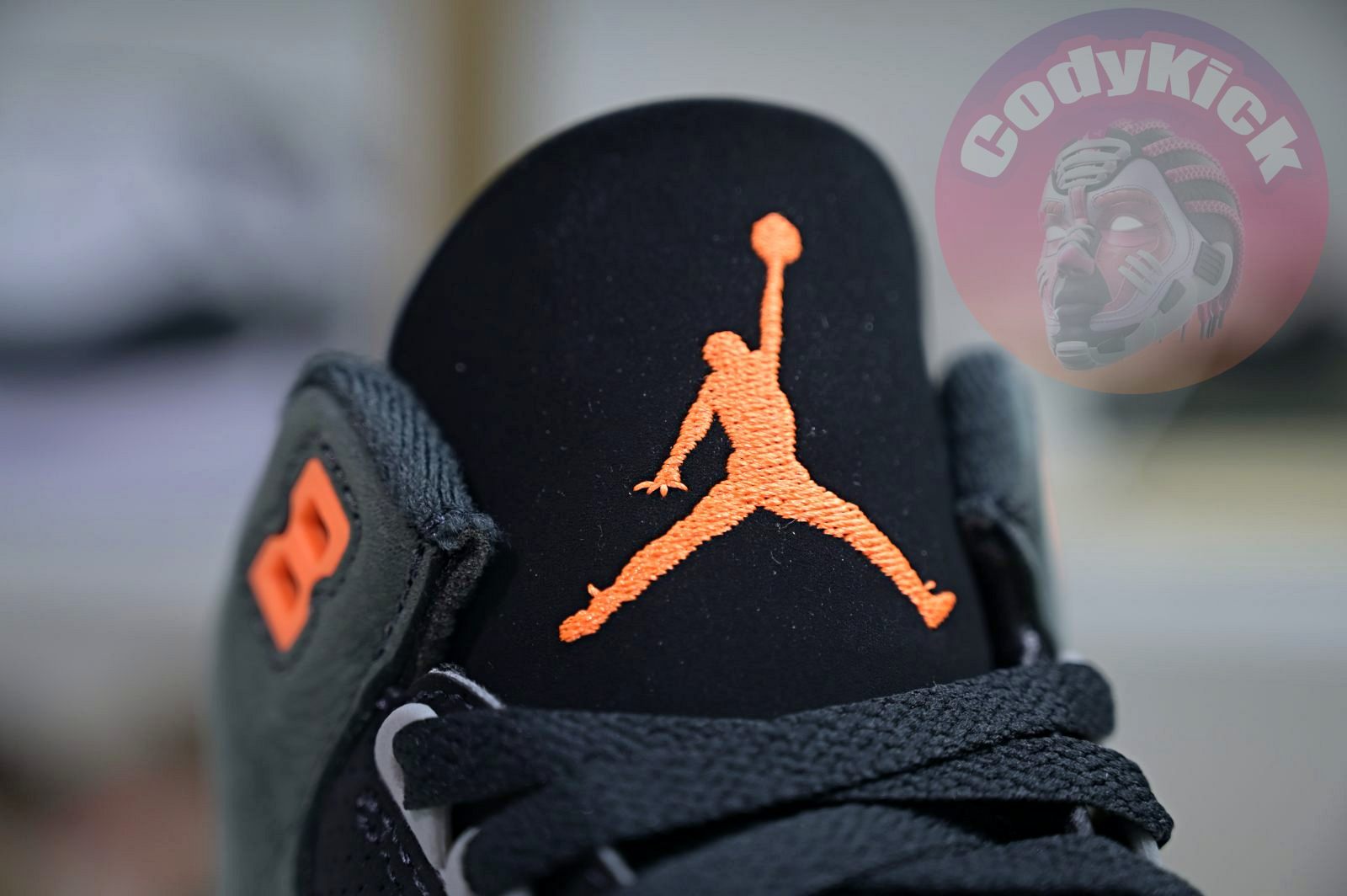 Air Jordan 3"Fear"