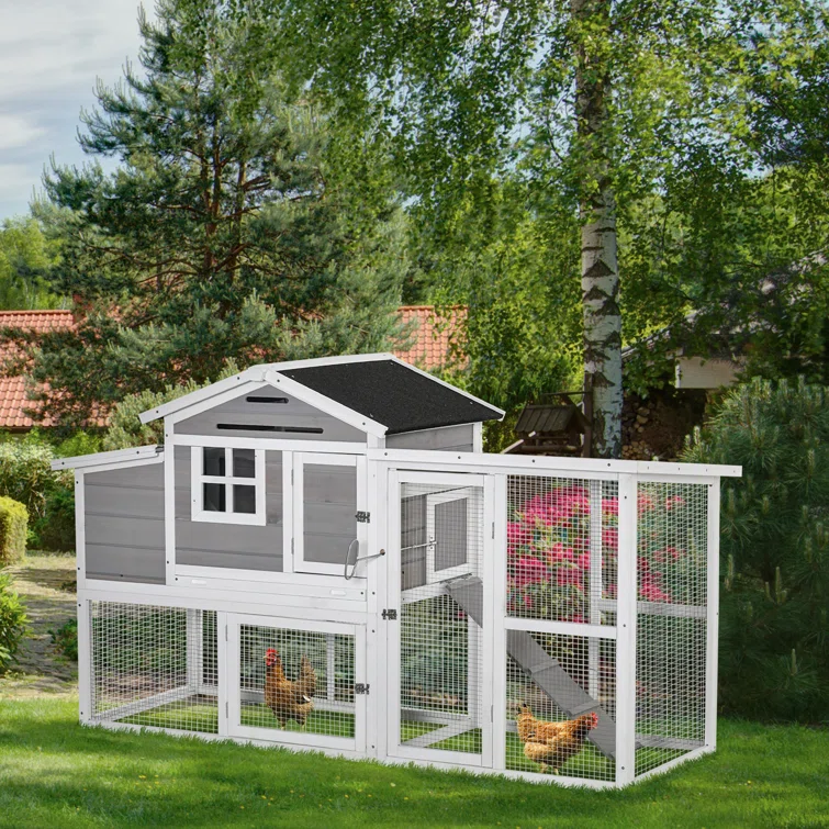 Plenty of Space Chicken Coop Run