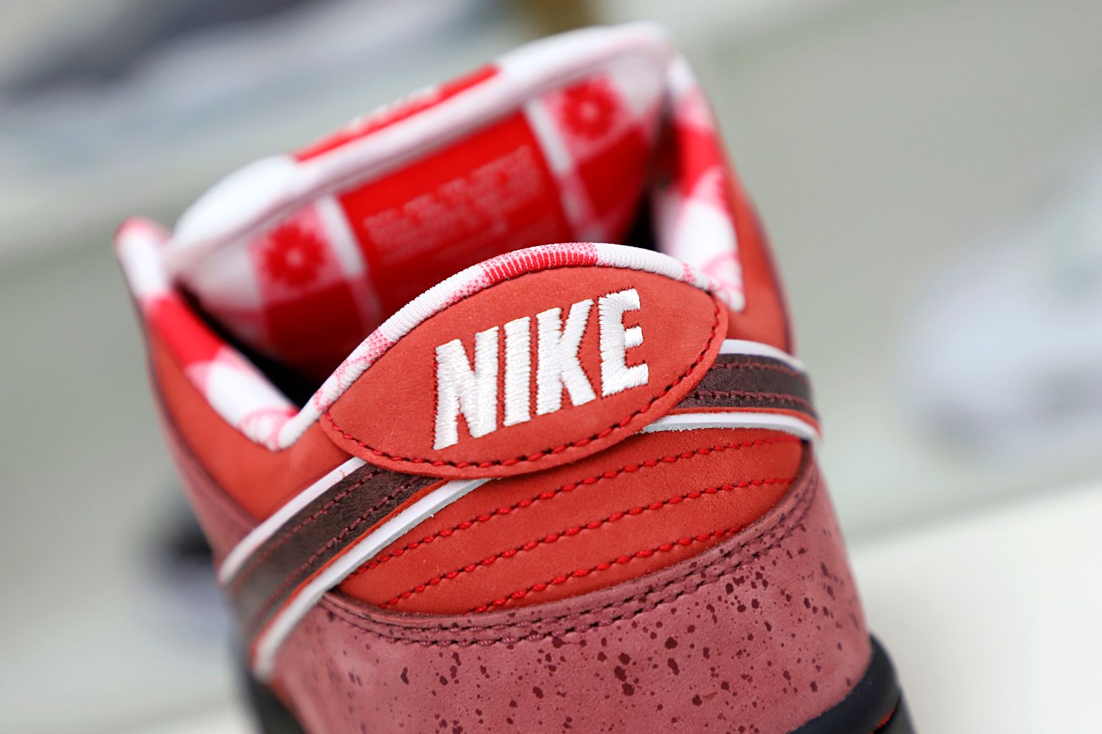 Concepts x Nike Dunk SB Low Red Lobster