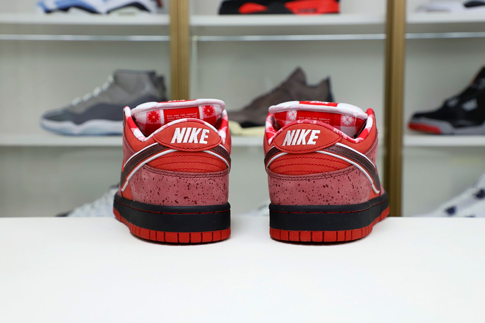 Concepts x Nike Dunk SB Low Red Lobster