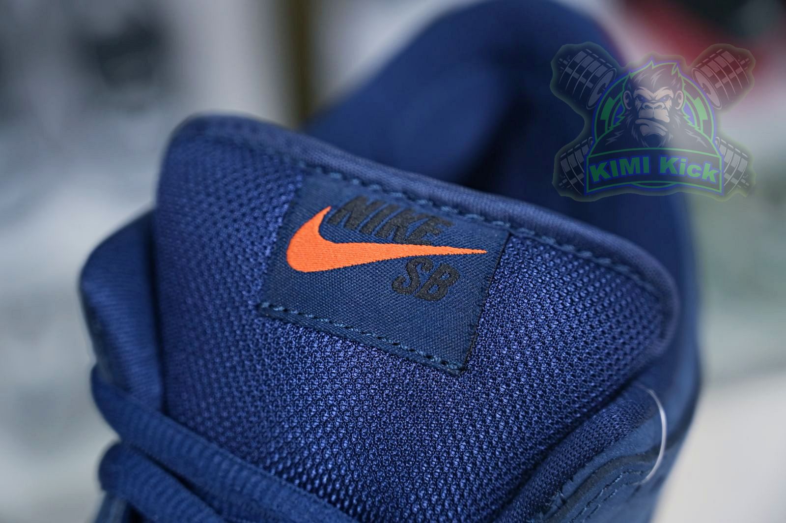 Nike Dunk SB Low Pro Iso "Navy Gum"