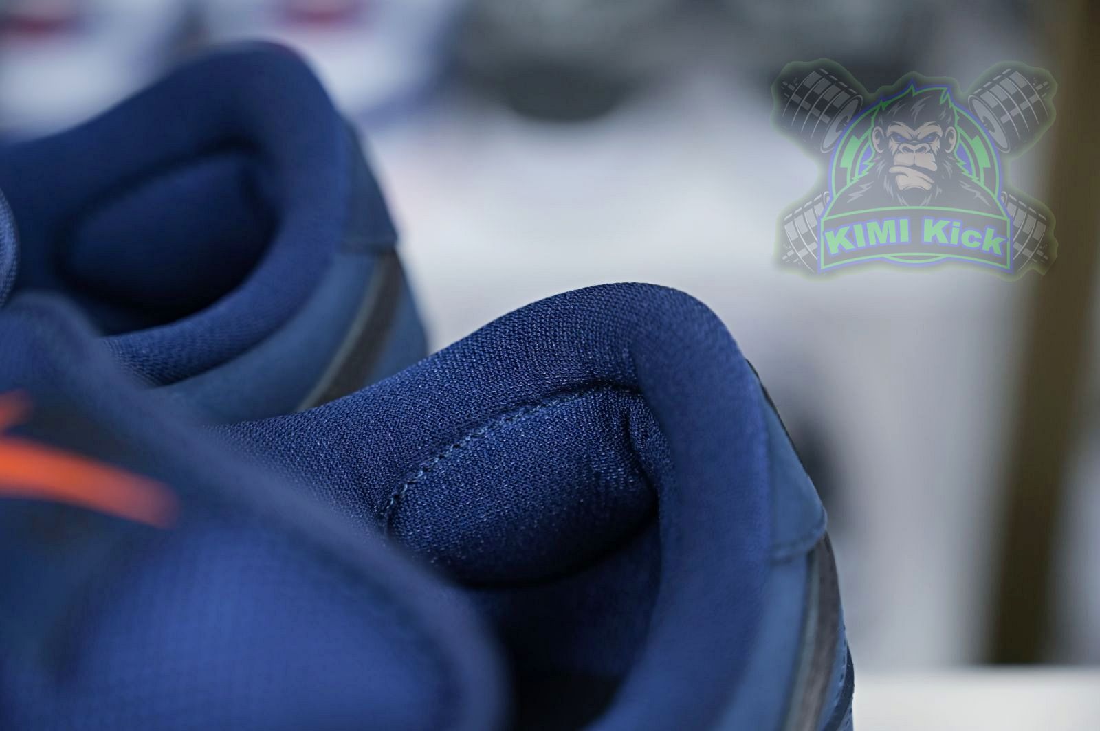 Nike Dunk SB Low Pro Iso "Navy Gum"