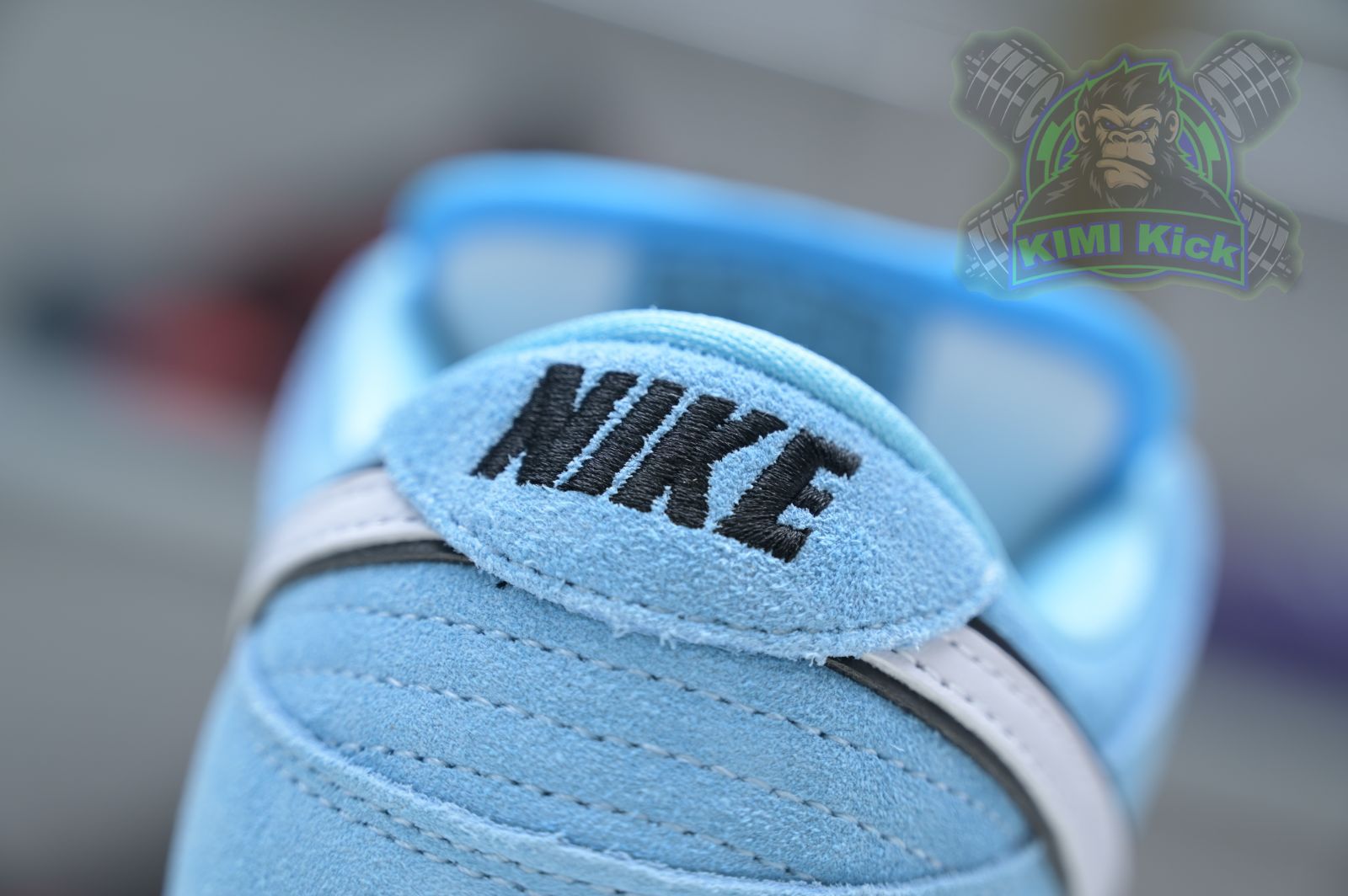 Nike Dunk SB Low Pro "Blue Chill"