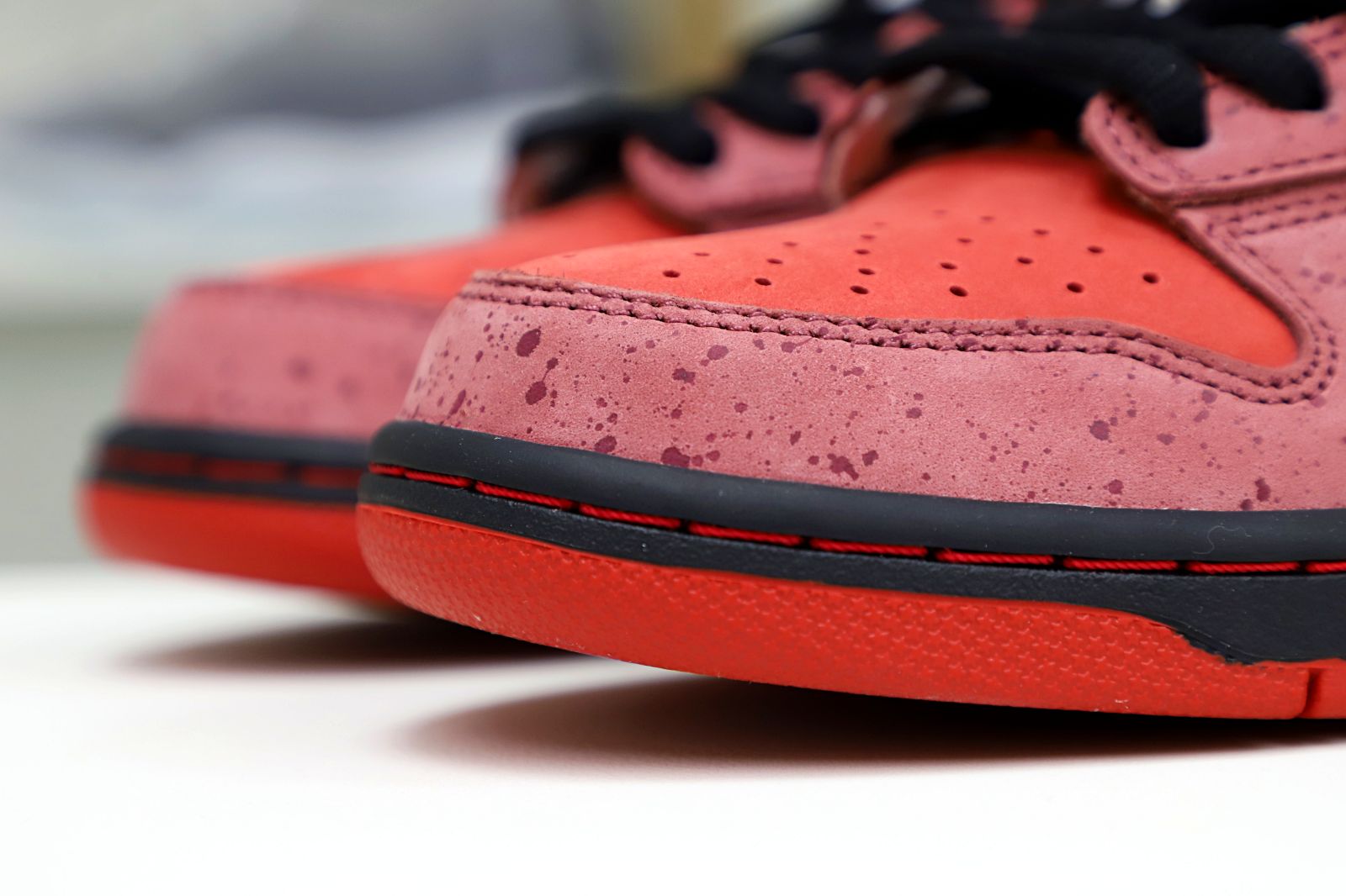 Concepts x Nike Dunk SB Low Red Lobster