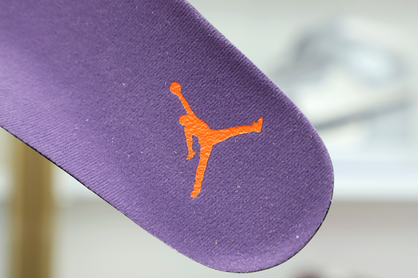 Jordan Air Jordan 4 retro "canyon purple"