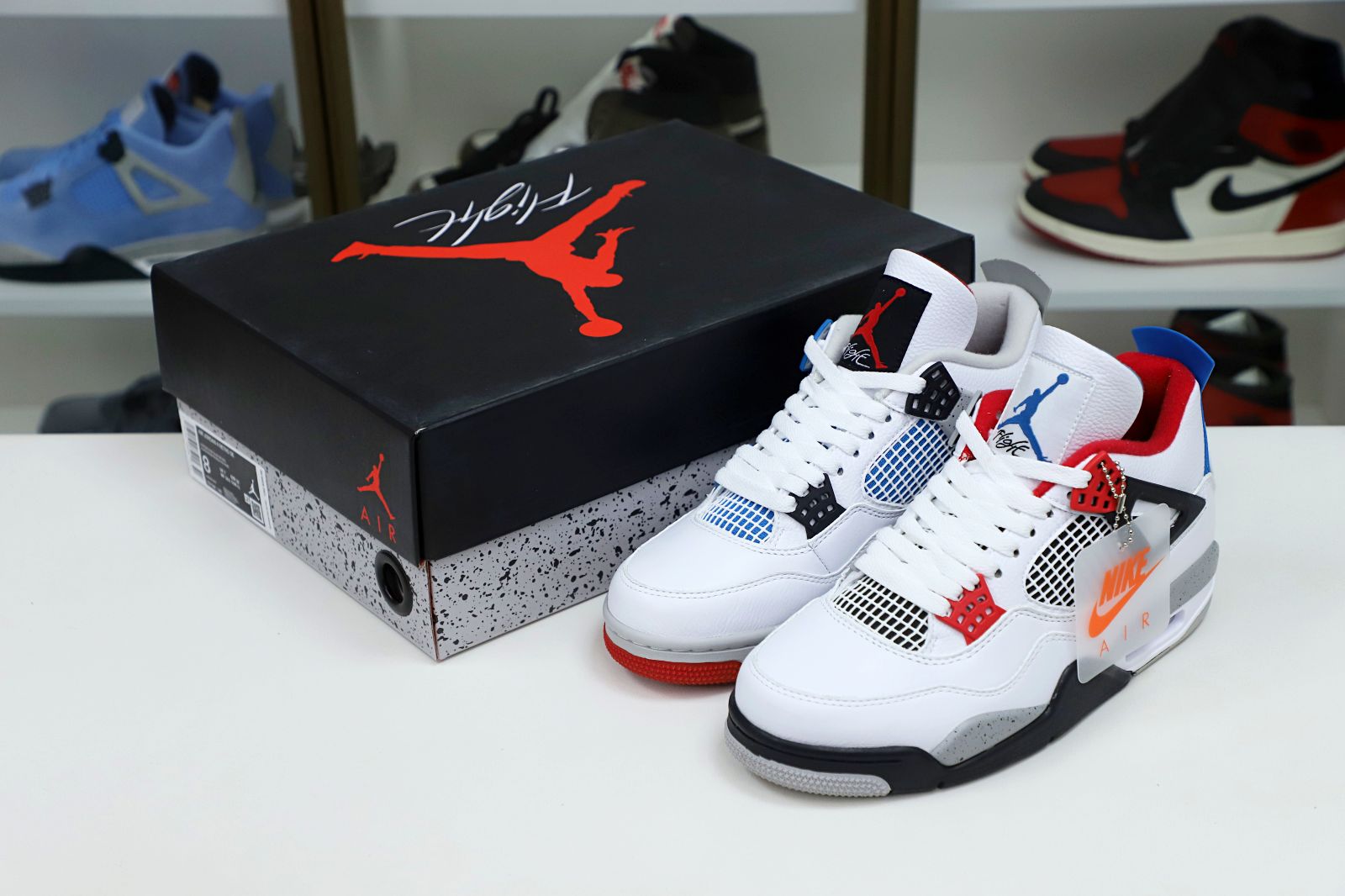 Jordan Air Jordan4 retro se what the4