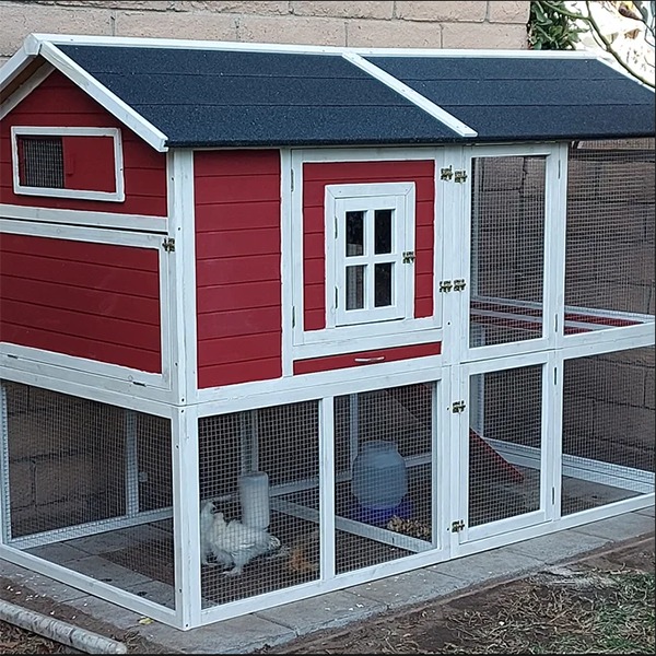 [Storage Shed]Shanae Walk In Chicken Coop with Chicken Run For Up To 8