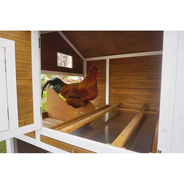 [Storage Shed]Shanae Walk In Chicken Coop with Chicken Run For Up To 8