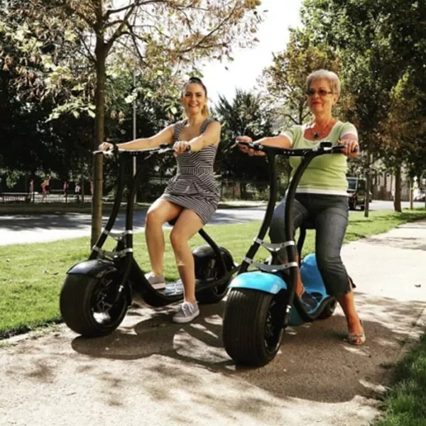 Adult electric scooter