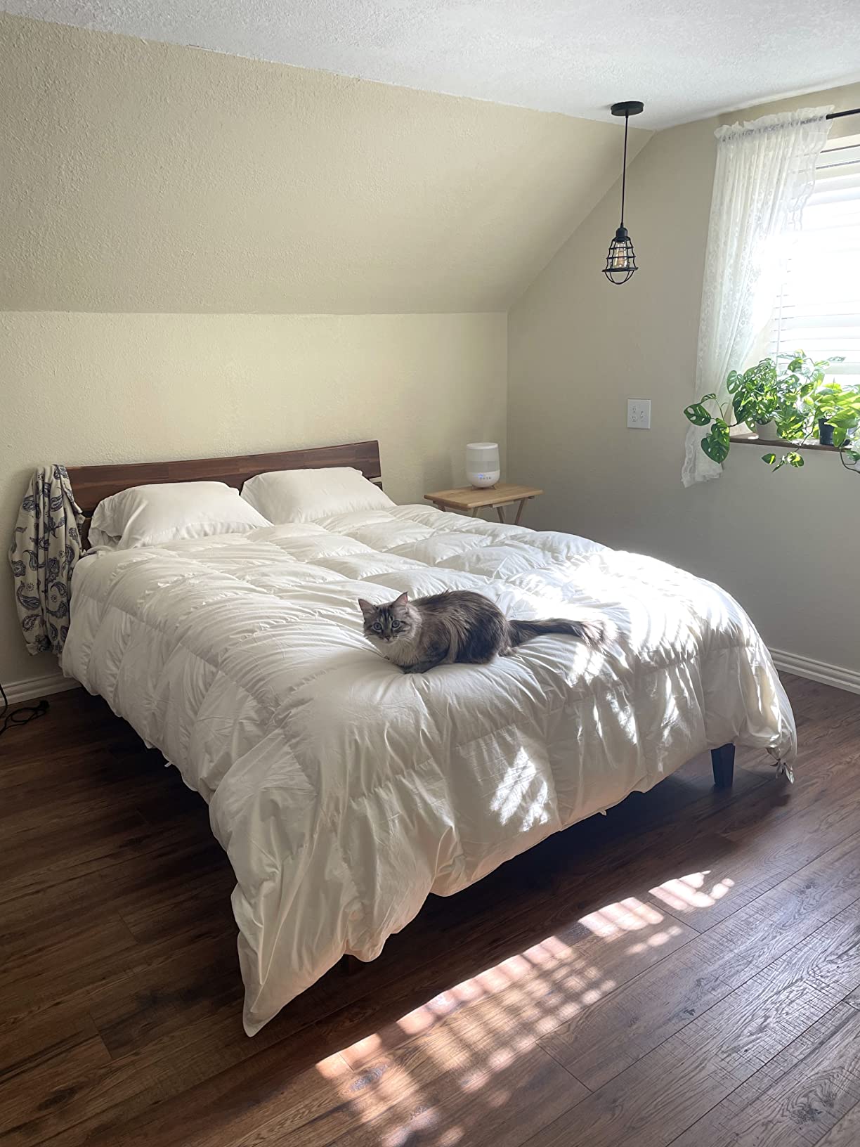 【Furniture】Acacia Aurora 14 Inch Wood Platform Bed, Bed Frame with