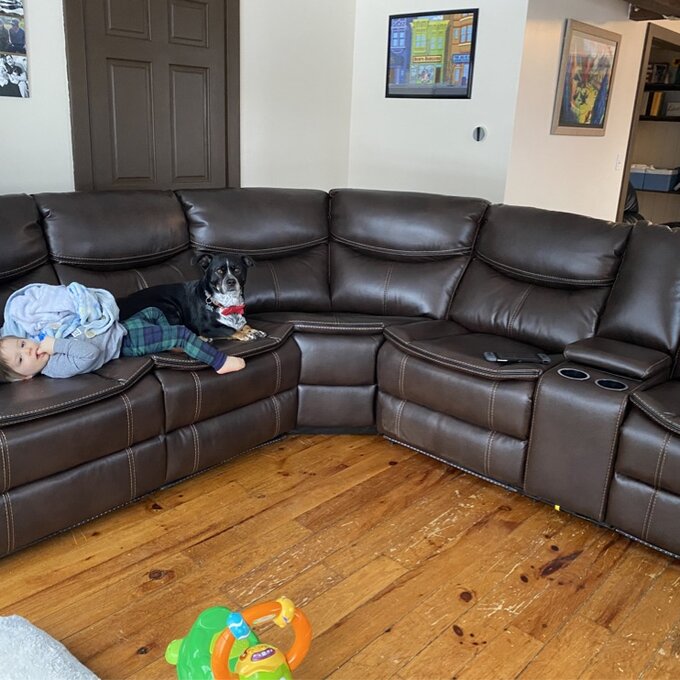 【Furniture】Mirabel 3 Piece Vegan Leather Sectional EconMarket