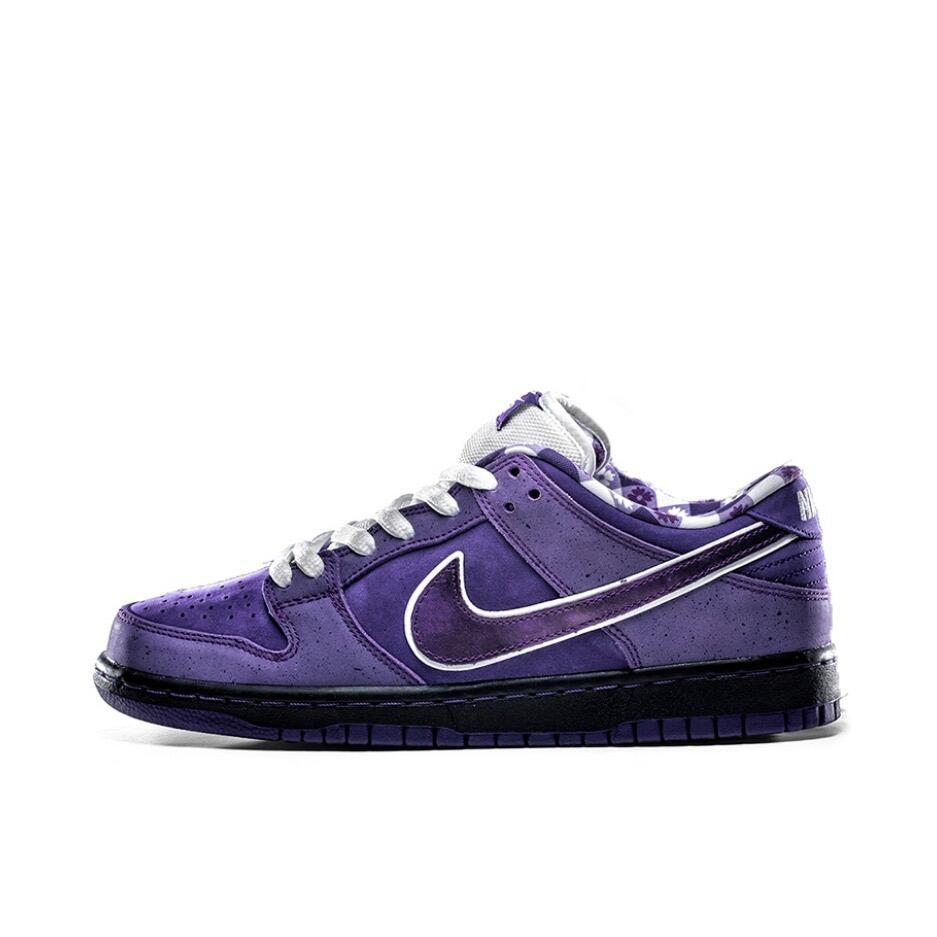 Unisex SB Dunk Low Casual Shoes