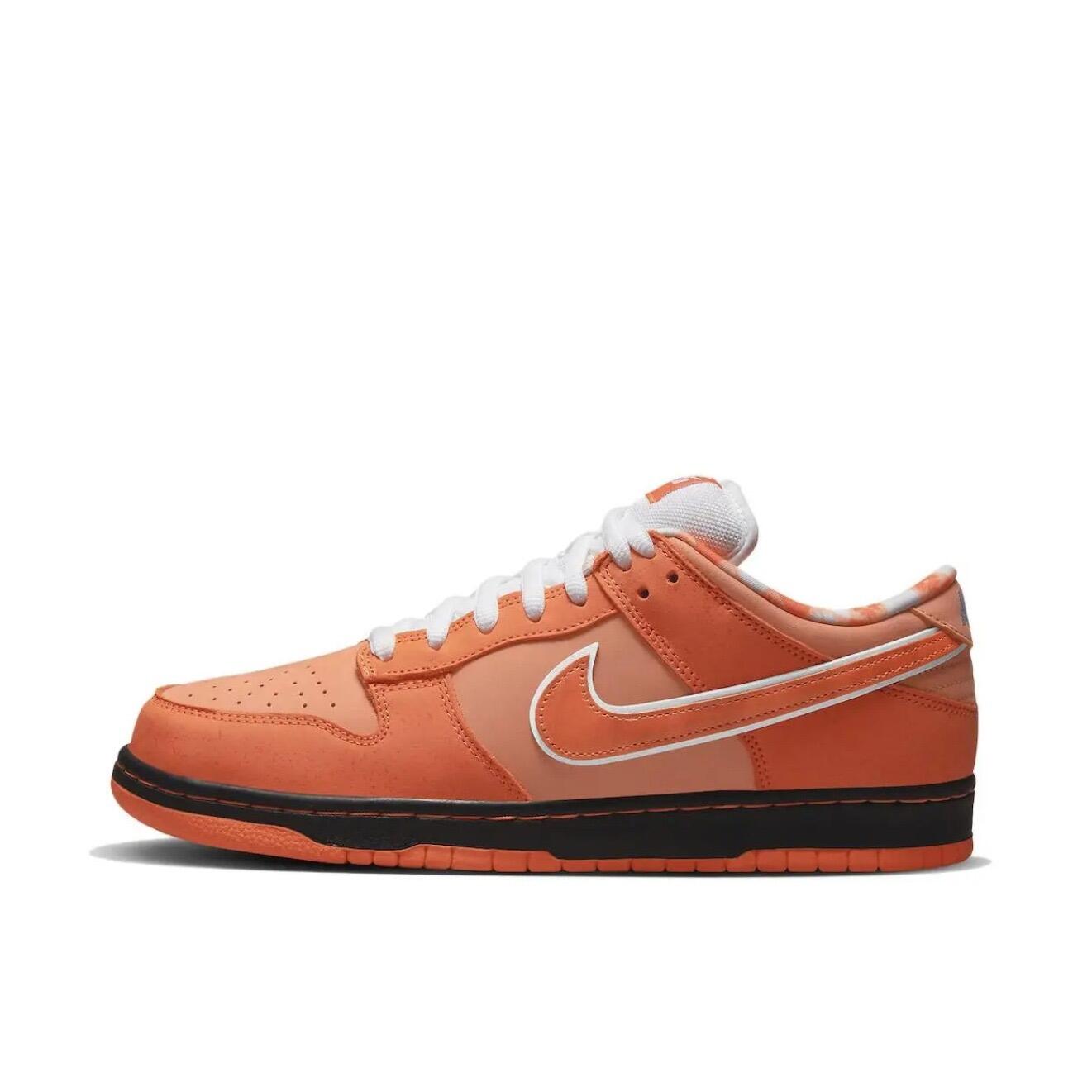 Unisex SB Dunk Low Casual Shoes