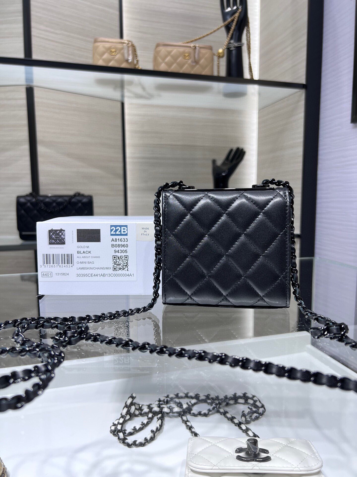 Chanel Fashion Bags