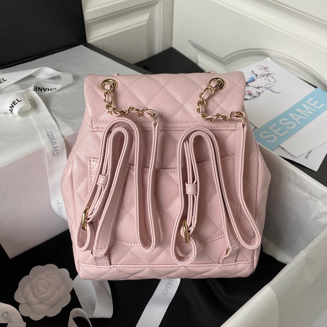 Chanel Fashion Bags