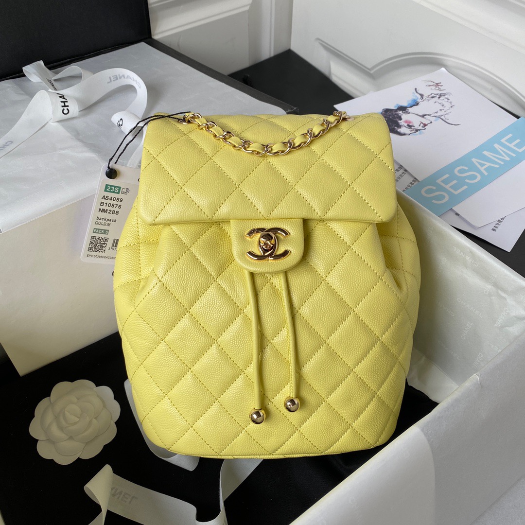 Chanel Fashion Bags