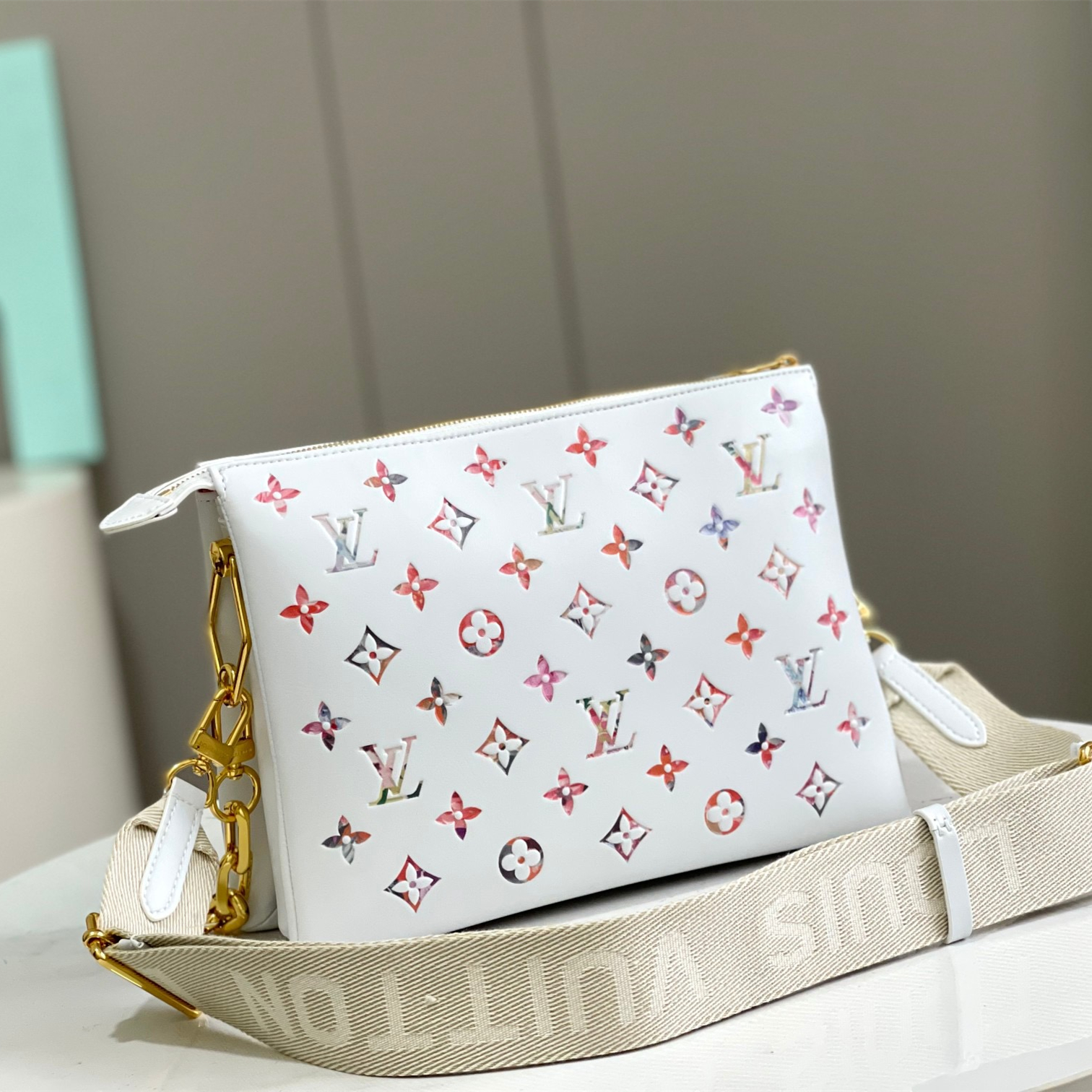 Louis Vuitton LV Bags