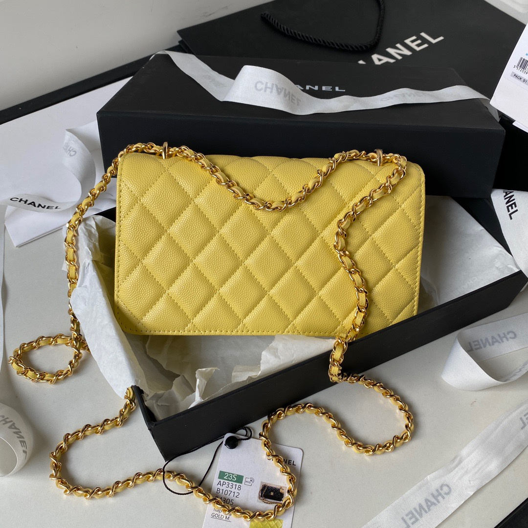 Chanel Fashion Bags