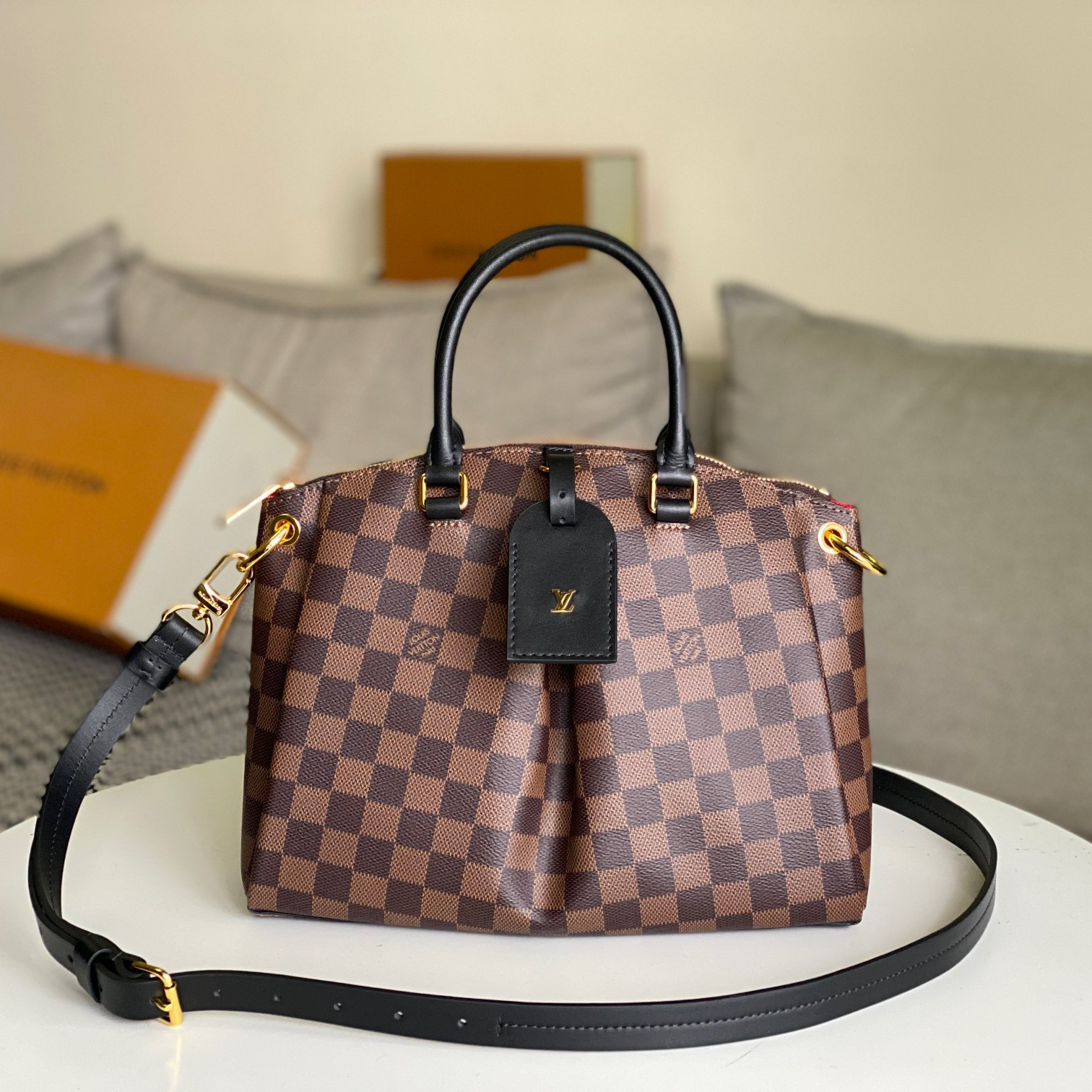 Louis Vuitton LV Bags