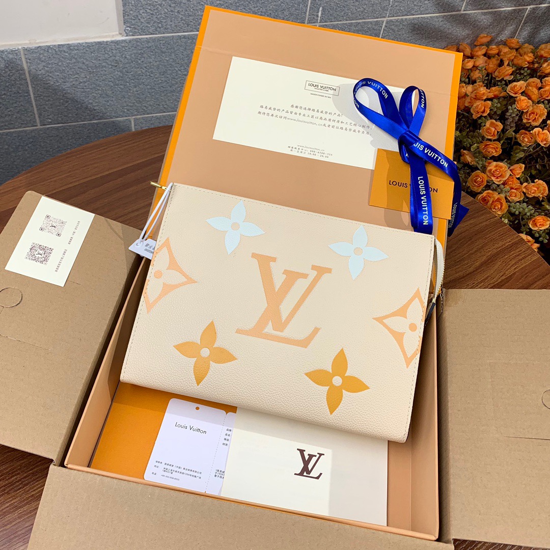 Louis Vuitton LV Bags