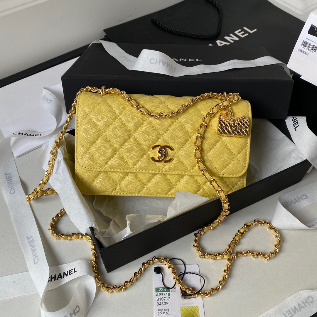 Chanel Fashion Bags