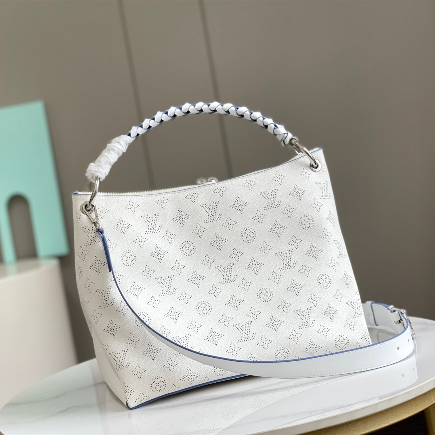 Louis Vuitton LV Bags