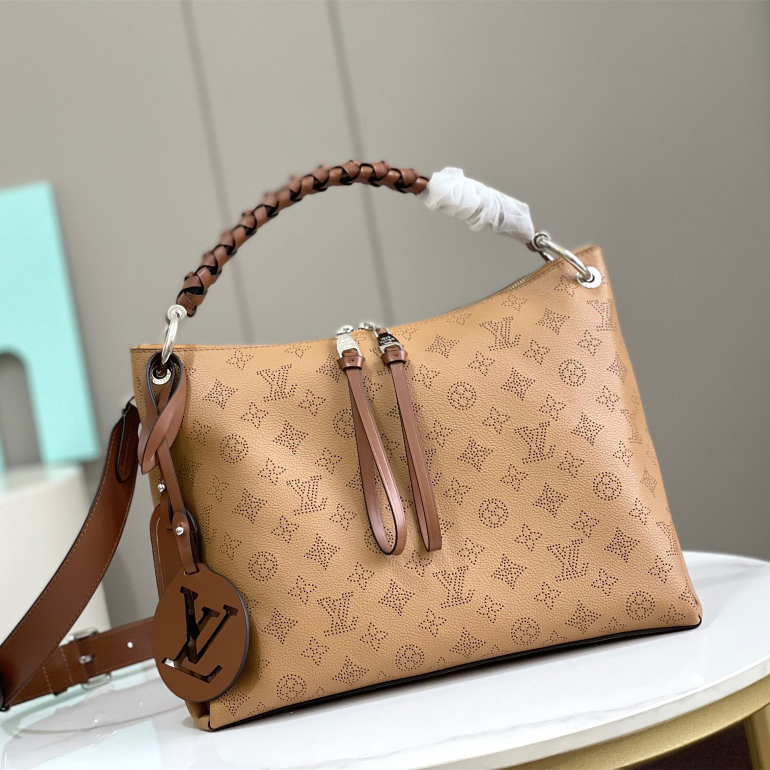 Louis Vuitton LV Bags